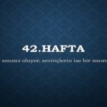 42.hafta
